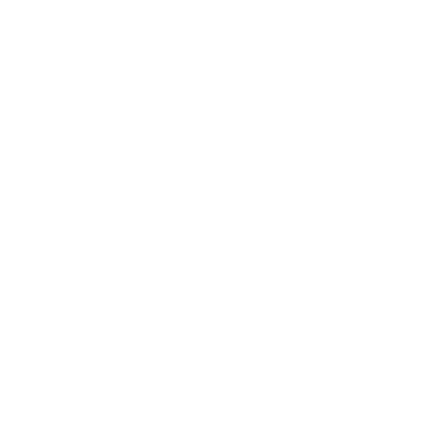 NextGen Solutions Logo Animation